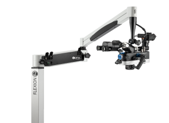 FLEXION TWIN